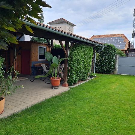 Haus Schneider Apartment Kappel-Grafenhausen Bagian luar foto